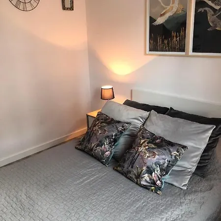 Apartament Idea *
